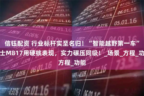 信钰配资 行业标杆实至名归！“智能越野第一车”猛士M817用硬核表现，实力碾压同级！_场景_方程_功能